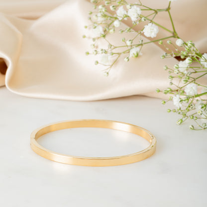 Stainless Steel Hinge Bangle